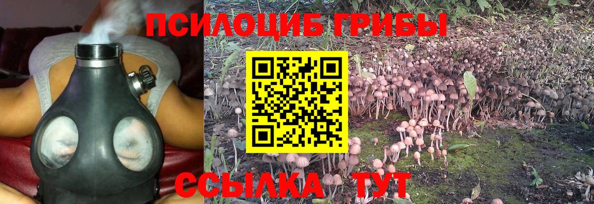 Галлюциногенные грибы ЛСД  Псилоцибиновые грибы ЛСД  купить наркотики цена  Вход с VPN  Выкса 