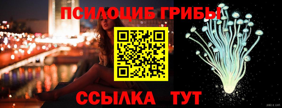 Галлюциногенные грибы Psilocybe Выкса